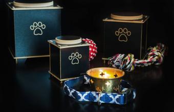 Urna crematoria per animali domestici