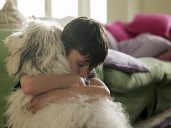 Ragazzo che abbraccia cane