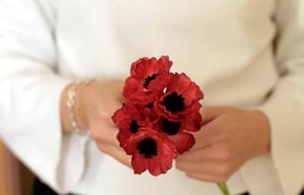 Mani che tengono fiori di papavero rosso