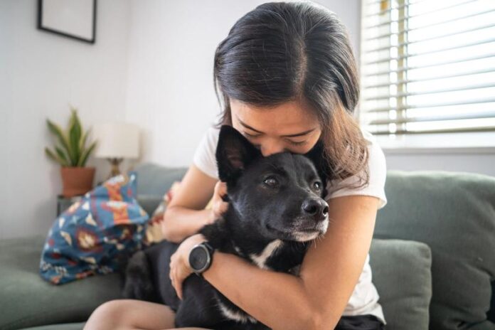 Come prepararsi alla morte di un cane: 8 modi per farcela
