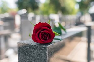 Rosa rossa sul monumento del cimitero