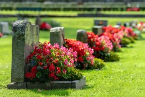 tombe con fiori rosso vivo e rosa