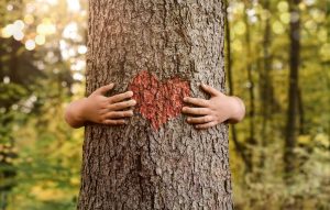 mostra una persona che abbraccia un tronco d'albero su cui è dipinto un cuore rosso